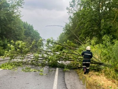 Штормовий вітер на Вінниччині повалив десятки дерев та блокував дороги