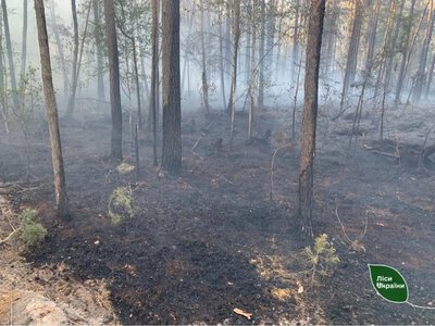 Загорівся ліс через падіння дрона на Рівненщині