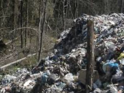 Відеонагляд на полігоні Житомира не встановили: підрядники двічі відмовилися підписувати договір на 2,5 млн грн