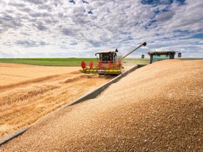 Агропродукція і правила ЄС: чому ВАР критикує рішення Угорщини