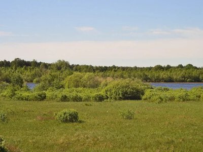 У сільради на Волині вимагають захистити заказник