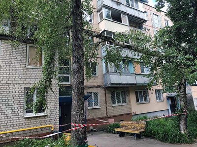 Буревій повалив у Харкові дерева та гілки (фото)