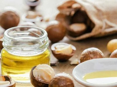 Органічна олія фундука: новий продукт з Київщини