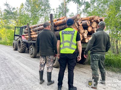 На Рівненщині виявили незаконну вирубку лісів
