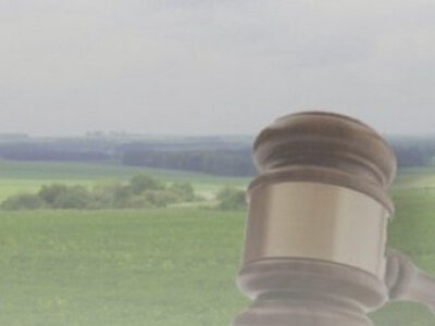 Громаді на Рівненщині повертають ділянку площею понад 17 гектарів