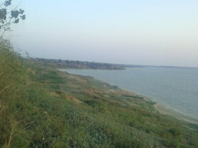 Придунайські озера планують примусово наповнювати водою цього року