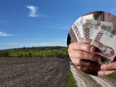 Агрохолдинги купують паї на 40% дорожче: які ризики для дрібних власників