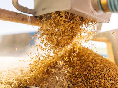 На Вінниччині створять індустріальний парк із переробки агропродукції