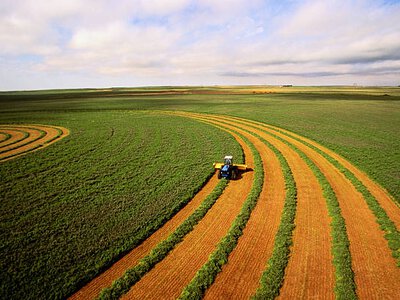 Вартість сільгоспземлі в Україні зросла до 75 000 грн за гектар