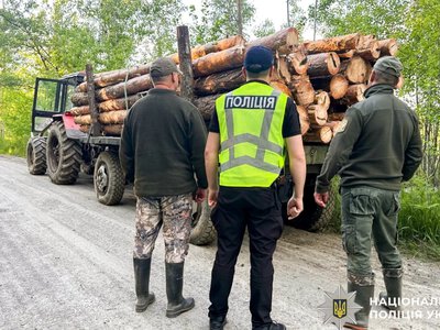 Зрізав сосни для себе: на Рокитнівщині викрили незаконну порубку лісу