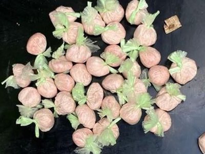 Миколаївська поліція викрила наркоторговців, які продавали психотропи в 2 областях (ФОТО)