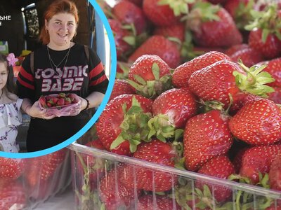 Полуниця на ринках Херсона: ціни до 200 гривень та дефіцит місцевого врожаю