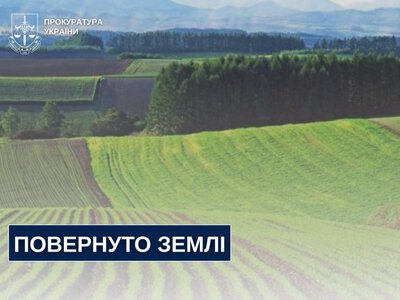 На Рівненщині через суд повернули державі три лісові ділянки