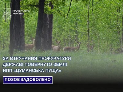 Державі повернули понад 22 га земель НПП «Цуманська пуща» у Луцькому районі