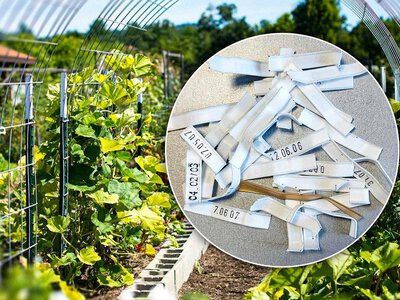 Затискачі від пакетів стануть у пригоді кожному городнику: корисні лайфхаки для грядок