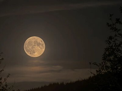 Вчені радять не пропустити: 30–31 травня на небі з’явиться рідкісний Місяць