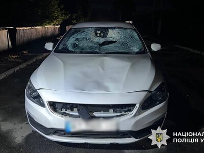 Поліцейські встановлюють обставини смертельної ДТП у Звягельському районі