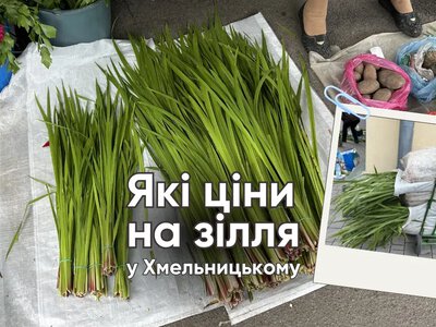 Скільки коштує зелене зілля на ринках Хмельницького напередодні Трійці (ФОТО, ВІДЕО)