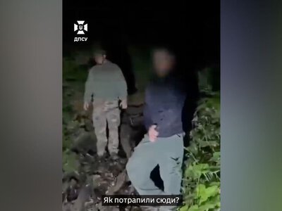 Заліз на дерево та викликав допомогу. Киянину, який намагався незаконно потрапити до Румунії, перешкодила ведмедиця — ДПСУ