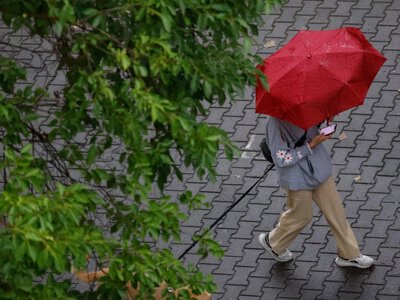 Передостанній день травня: прогноз дощів, гроз та поривчастого вітру