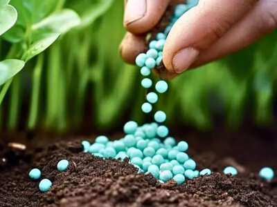 Дефіцит добрив: Україна втрачає виробництво