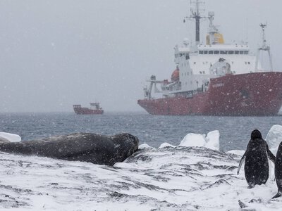 Одеський криголам завершив п’ятий антарктичний сезон