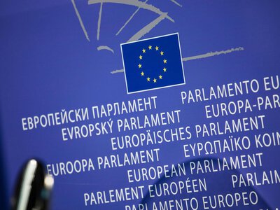 Російська металургія досі на ринку ЄС: євродепутат Галер пропонує нові санкції