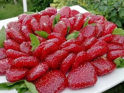 Полуничні цукати на зиму: неймовірні домашні смаколики всього з чотирьох інгредієндів