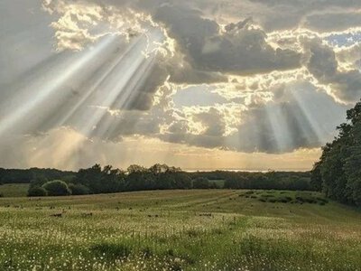 До +27° та менше дощів: якою буде погода у Вінниці на початку літа