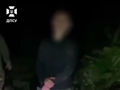 Киянин рятувався від ведмедиці на дереві під час спроби незаконно перетнути кордон