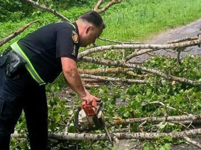 У Рівненському районі поліцейські прибрали з дороги дерево, повалене негодою