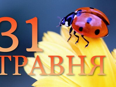 Сьогодні не можна викидати залишки їжі зі столу та стригти волосся: традиції та прикмети 31 травня