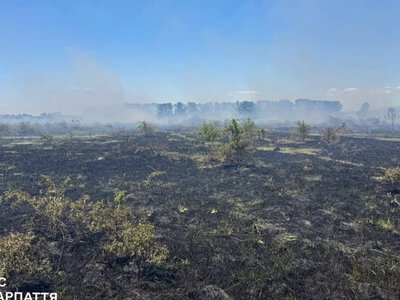 На Закарпатті оголосили найвищий рівень пожежної небезпеки