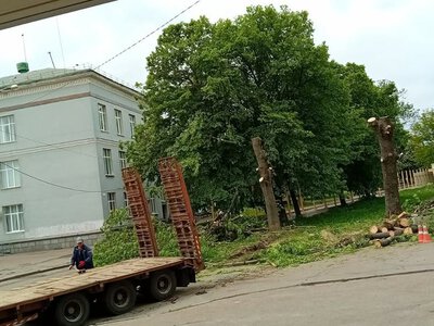 Забудова скверу в Коростишеві: чому вирізали дерева та кому продали рекреаційну землю в центрі міста