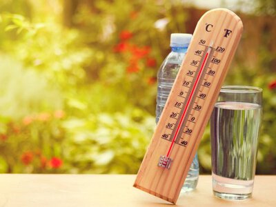 Літо в Україні стартує з комфортного тепла: прогноз синоптиків на 1 червня