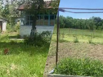 Залишили Київ та купили хату в селі за $2000: українка розповіла про зміни за 2 роки