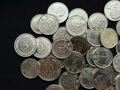 НБУ випустив нові 5 гривень: що відомо про цю монету