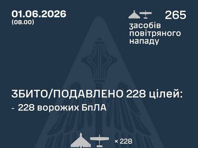 Збито/подавлено 228 російських БПЛА