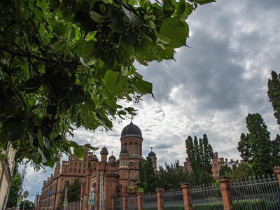 Чернівці на Трійцю замаїлися квітом та зеленими оберегами. Фоторепортаж