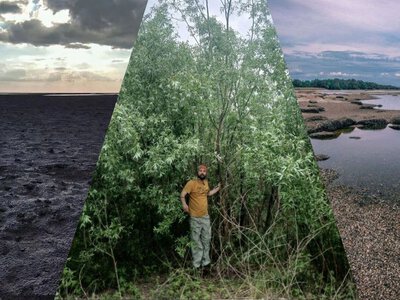 Колишнє Каховське водосховище змінилося до невпізнання: там виріс новий Великий Луг