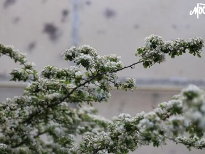 У Херсоні зафіксували найхолодніші травневі дні за майже 70 років - Херсон Daily