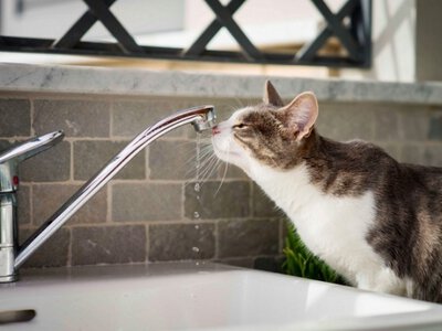 Ряду одеситів по дорозі додому варто запастись водою