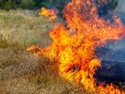 За тиждень на Рівненщині ліквідували 57 пожеж