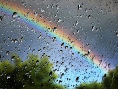 Сьогодні на Буковині очікується до +19°, дощитиме, можливі грози