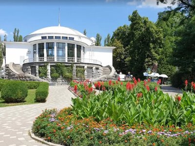 Встигніть побачити: у центрі Києва відкрили «приховану» зелену зону, куди раніше не пускали нікого
