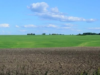 На Полтавщині засудили чоловіка за крадіжку землі на мільйон гривень