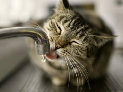 Кому з одеситів по дорозі додому доцільно прикупити води?