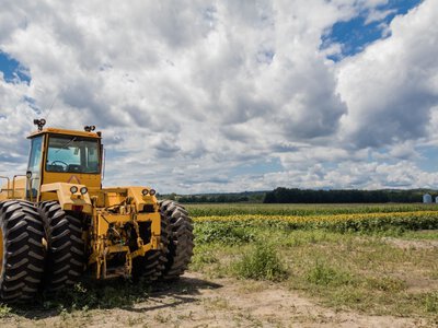 Фермери Рівненщини можуть отримати до мільйона гривень безвідсоткового кредиту