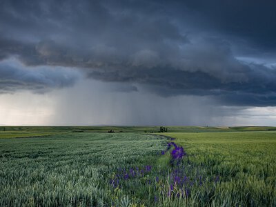 Погода в Україні: дощі та +23°С