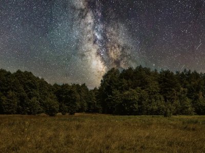 Самі собі авторитети: названо найнезалежніші знаки Зодіаку, які завжди йдуть своїм шляхом 